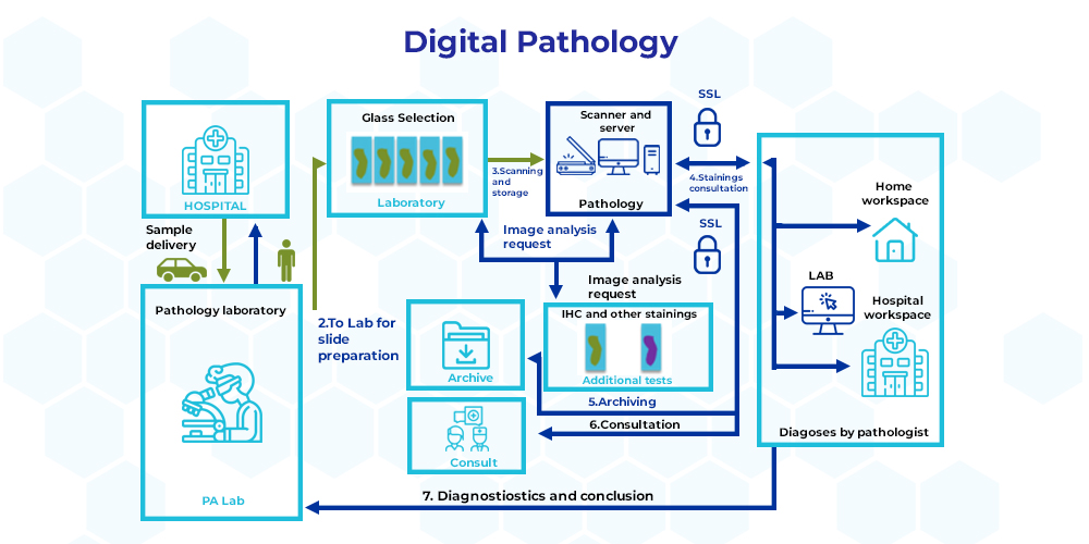 Digital Diagnostic Flowchart